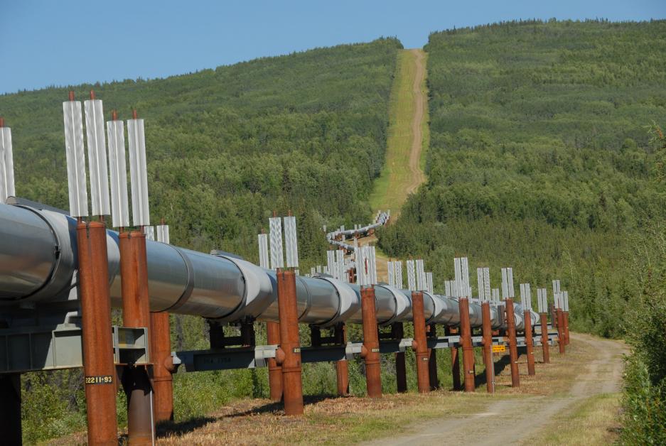 Name:  HeatPipes_Alaska Pipeline.jpg
Views: 1394
Size:  97.7 KB